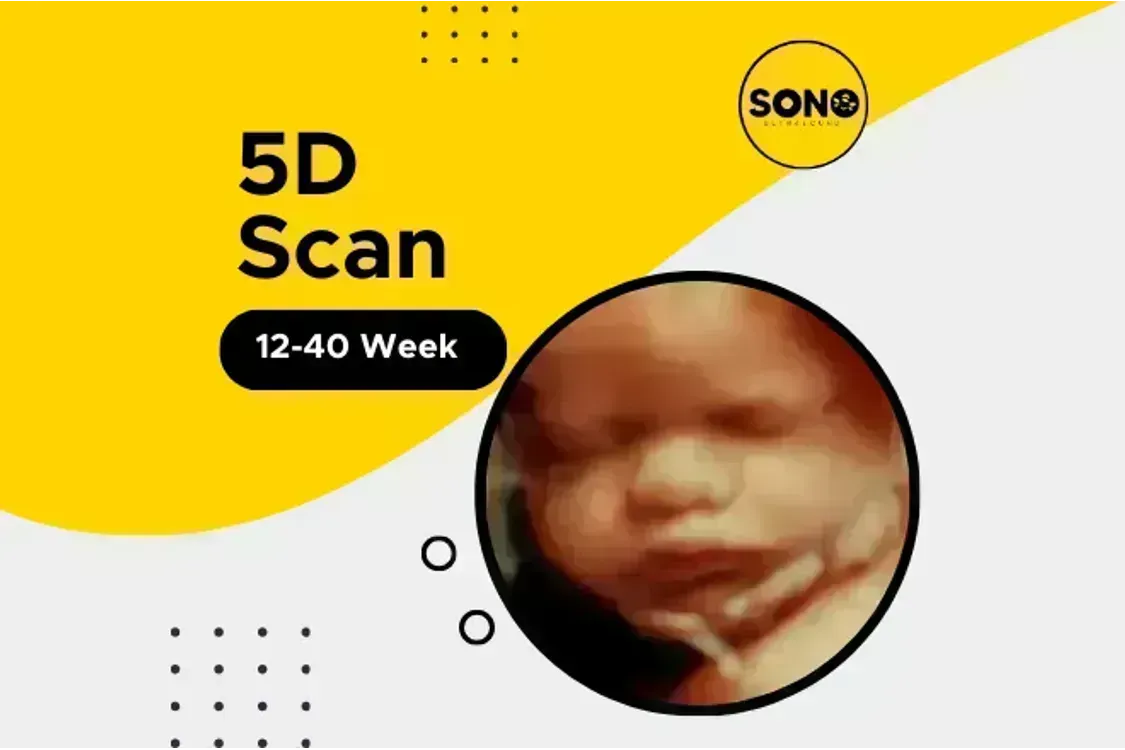5D Scan Malaysia 