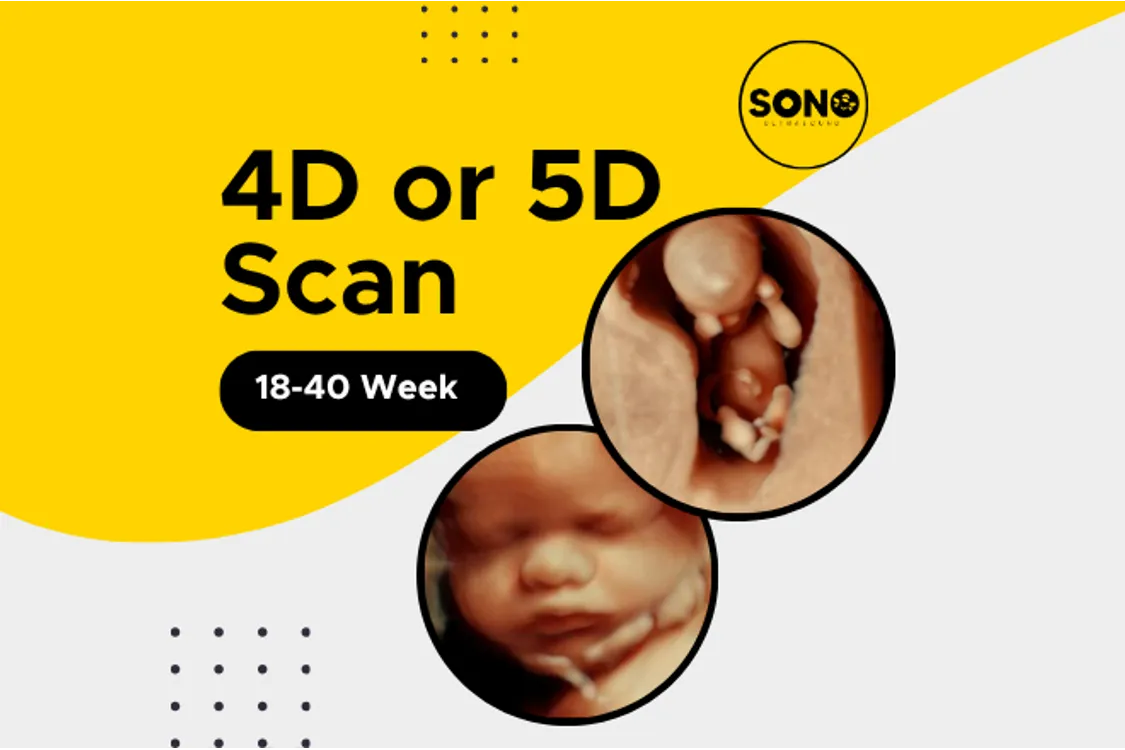 5D Scan Malaysia 
