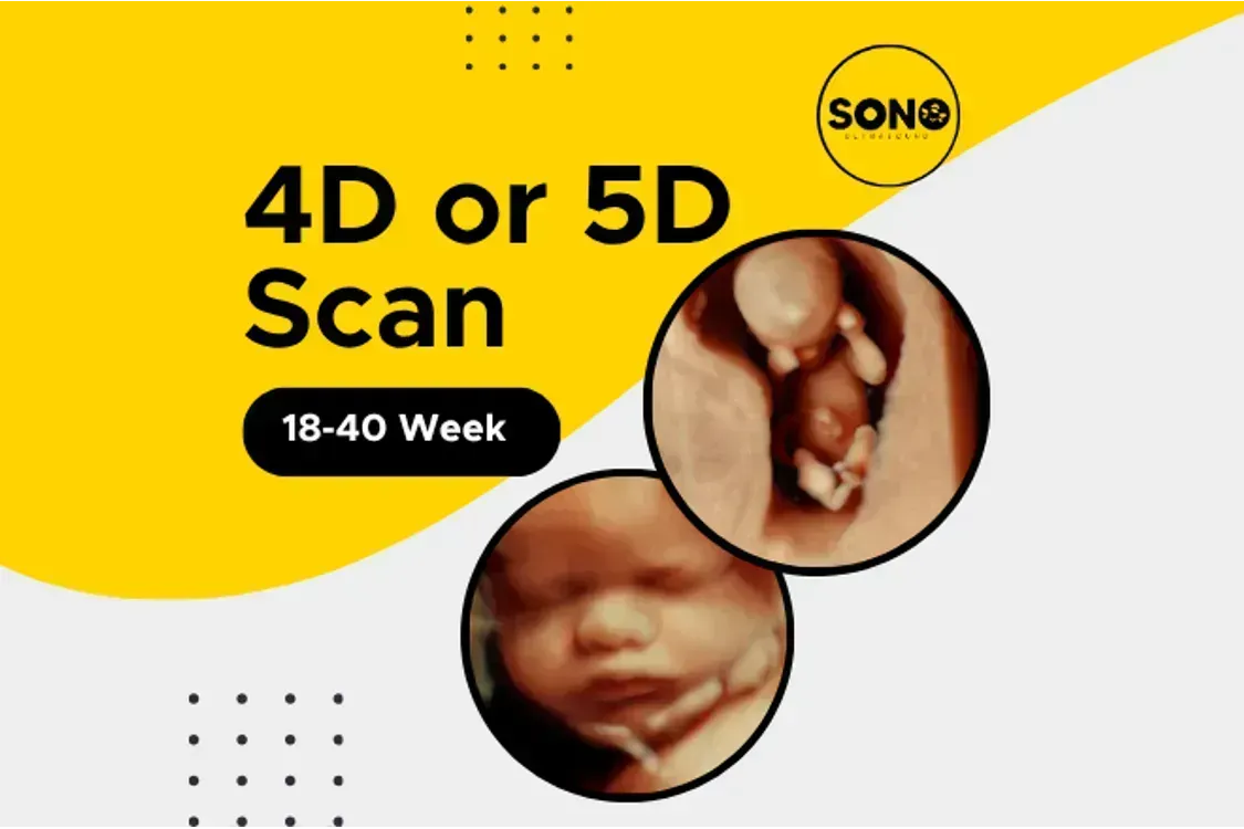 5D Scan Malaysia 