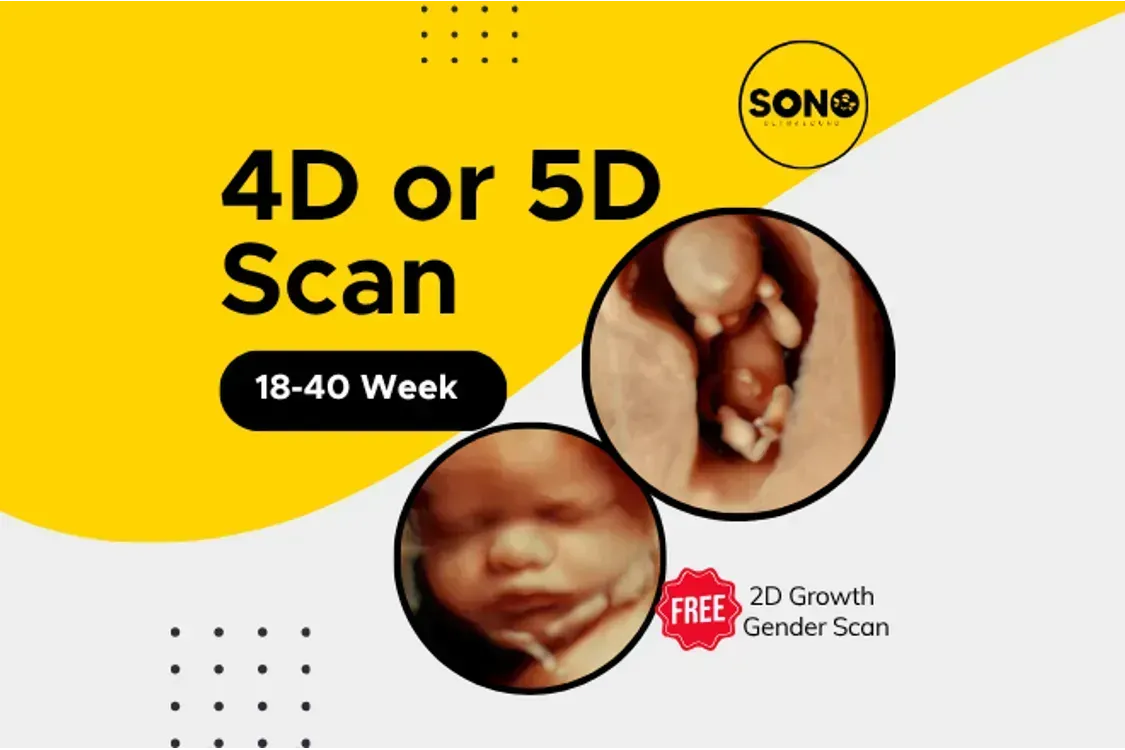 5D Scan Malaysia 
