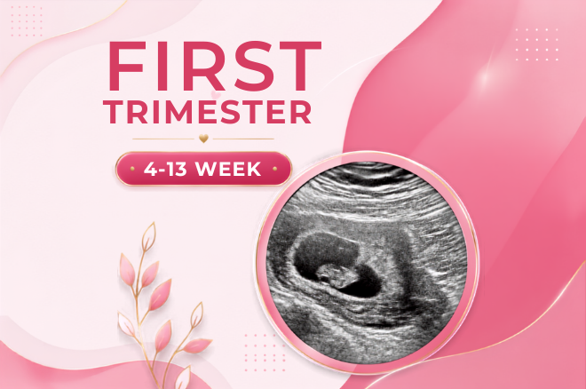 Antenatal 1st Trimester Checkup 