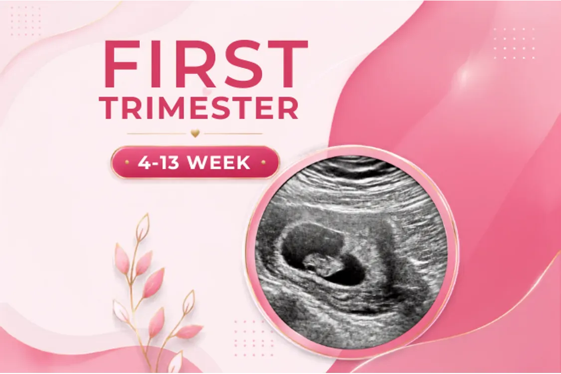 Antenatal 1st Trimester Checkup 