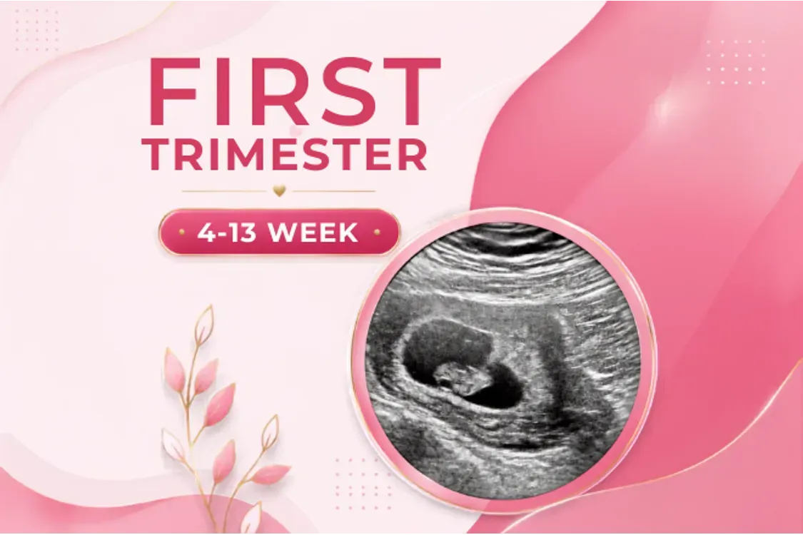Antenatal 1st Trimester Checkup 