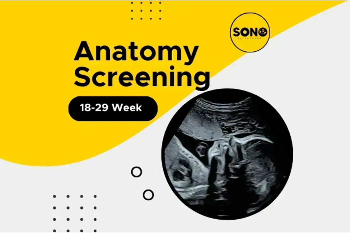20-Week Anatomy Scan