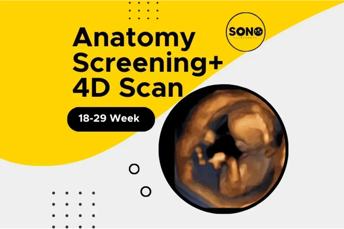 Anatomy 4D Scan in Pregnancy