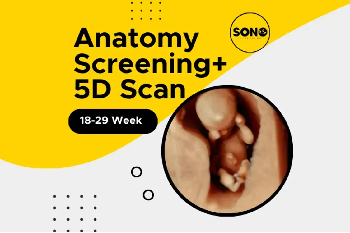Anatomy 5D Scan in Pregnancy