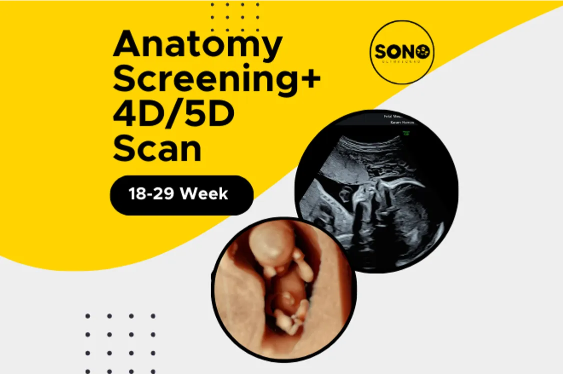 Anatomy 5D Scan in Pregnancy