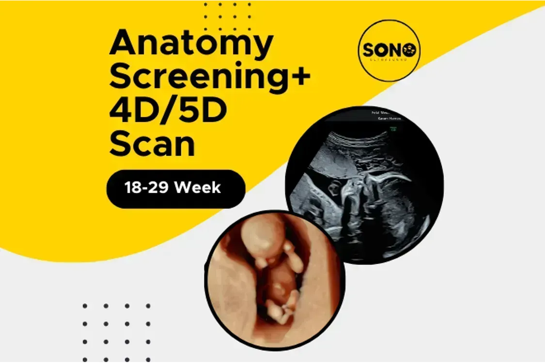 Anatomy 5D Scan in Pregnancy