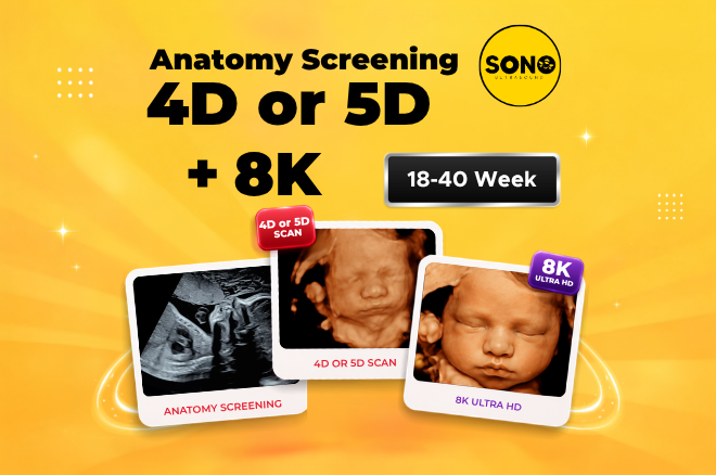 Anatomy Screening & 5D Scan in 8K Clarity