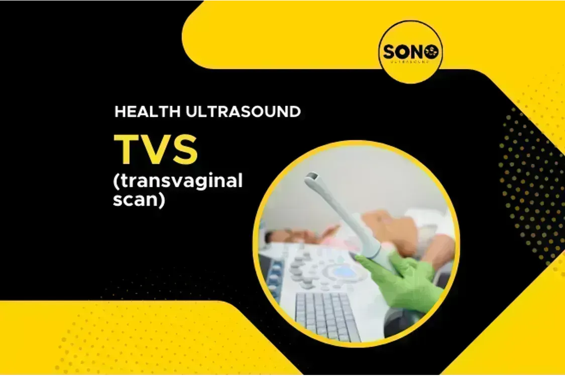 Transvaginal Scan (TVS)