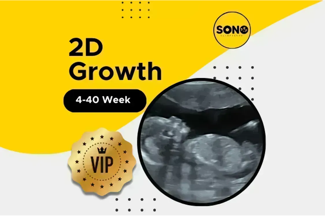 VIP 2D Growth Scan