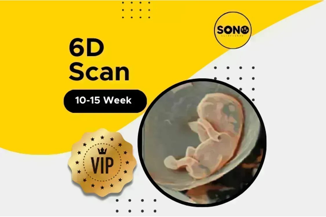 VIP 6D Scan Experience