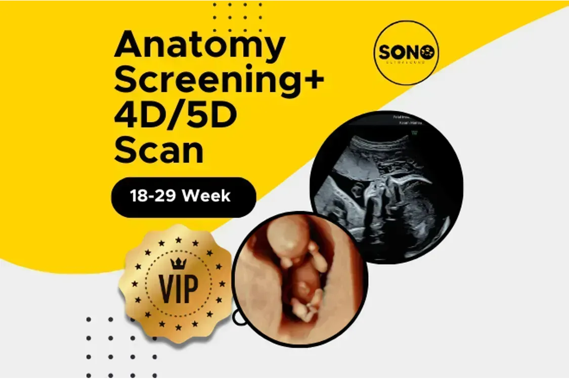 VIP Anatomy Screening + 4D or 5D Scan