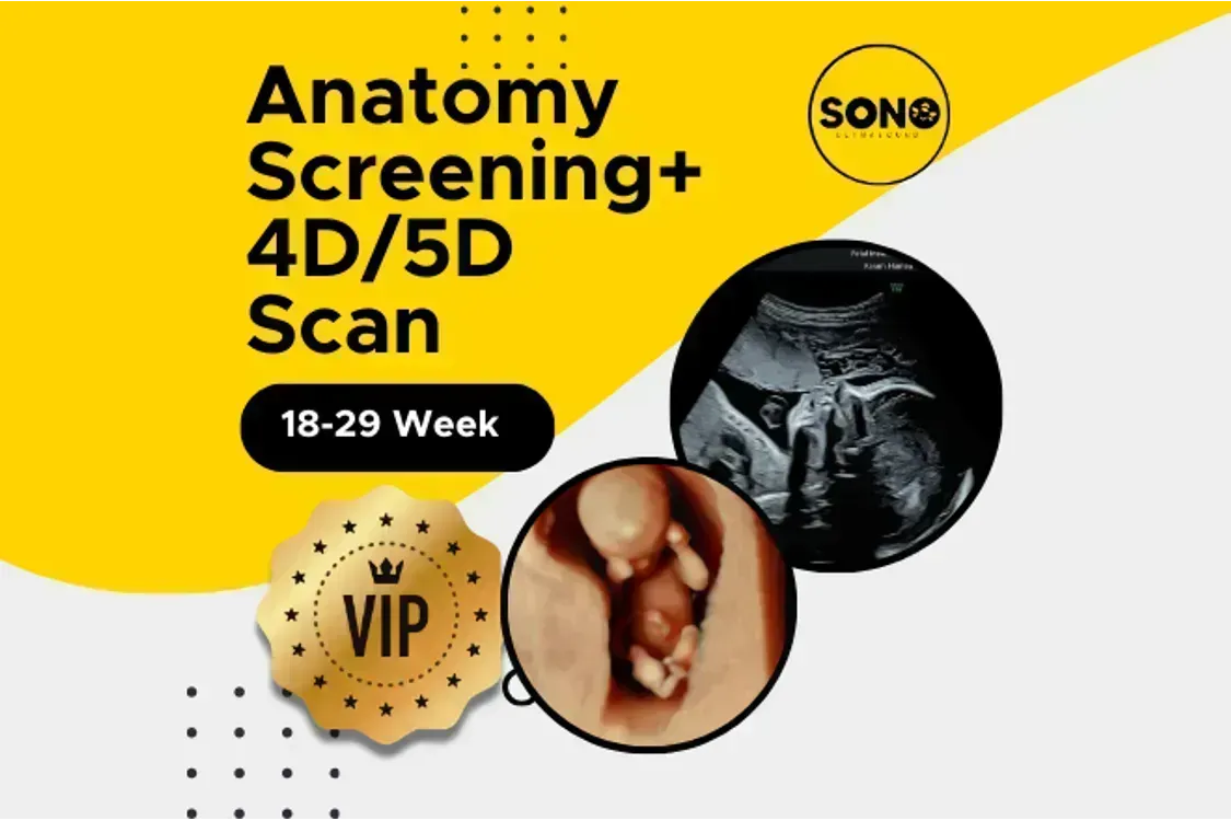 VIP Anatomy Screening + 4D or 5D Scan