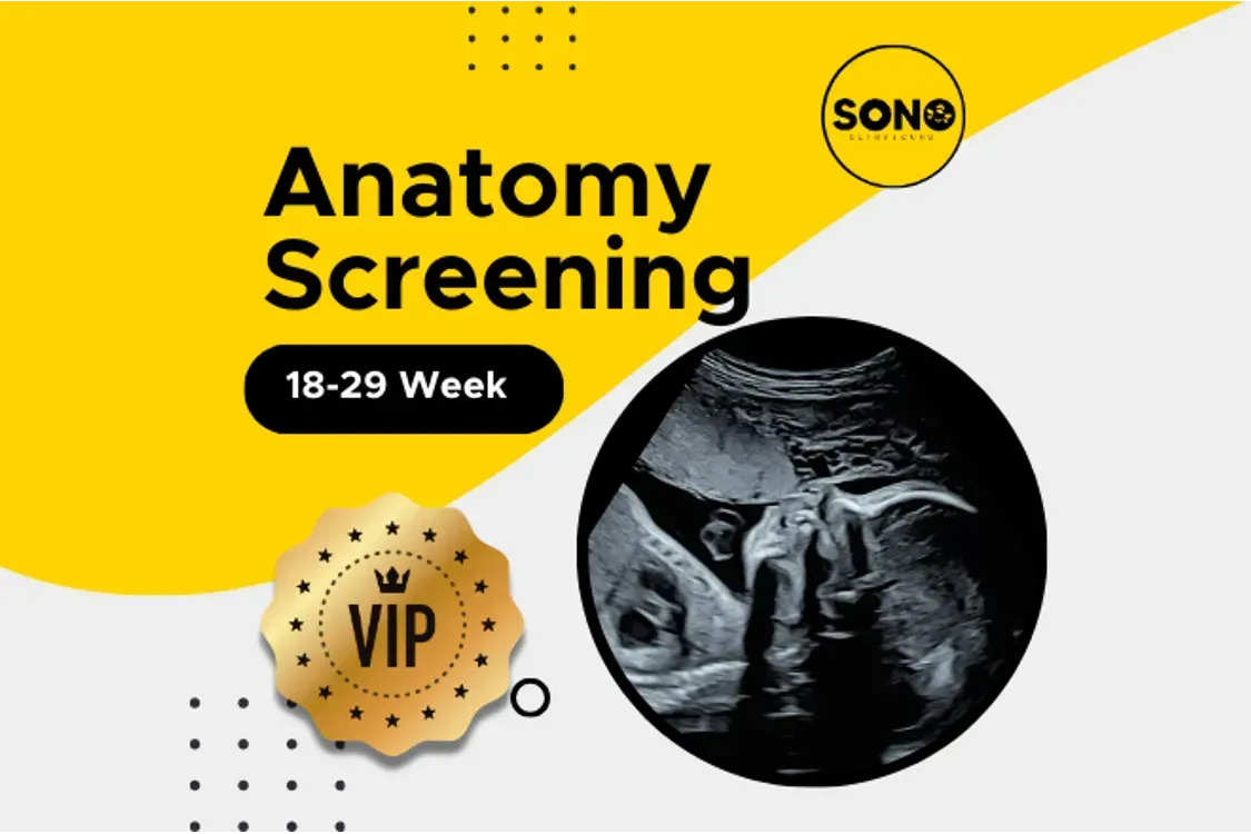 VIP Anatomy Scan